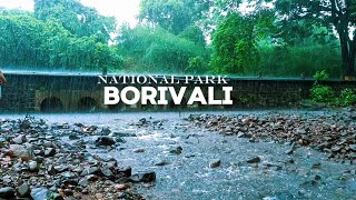 Sanjay gandhi national park in monsoon  best place in mumbai to visit in rain borivali [upl. by Ssew130]