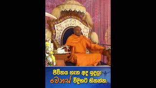 ජීවිතය ගැන අද ඉදල වෙනස් විදියට හිතන්න [upl. by Assirod]