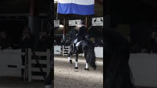 Hengstenshow St Nyk  Martzen 521 [upl. by Wilona]