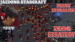 Starcraft JAEDONG vs IIIIIIIIIII2 ZvP SC Remastered Broodwar 2024 LADDER [upl. by Venu392]