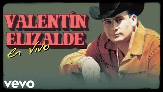 Valentín Elizalde  Los Pájaros [upl. by Giselle131]