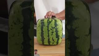 Eating A Square Watermelon squarewatermelon uniquefruits foodadventure tastetest funny shorts [upl. by Allertse]