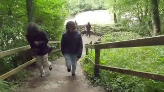 Aysgarth falls National Park [upl. by Llewoh159]