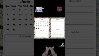 2025 Cat CalendarPlanner [upl. by Atonsah]