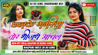 CHHALKEGAGRIYATORBHINJTHEANCHAL NETHETHNAGPURDJREMIXSONG2024 DJDSKINGJHARKHAND [upl. by Ybba651]