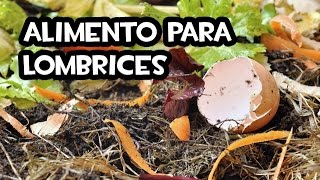 El Mejor Alimento para Lombrices  Huerto Organico [upl. by Naujtna]