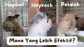 BATTLE TEMPAT HAY  HAYBALL VS HAYRACK VS PETDISH [upl. by Maria]