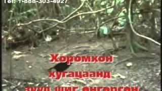 Karaoke Hurd Zurag shig busgui Хурд Зураг Шиг Бүсгүй Монгол Караоке [upl. by Enylecoj]