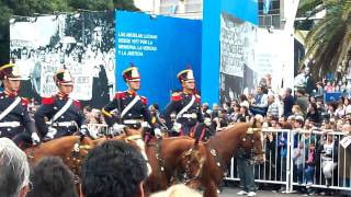 BICENTENARIO ARGENTINA 2010 16 GRANADEROS A CABALLO  DESFILE [upl. by Camile]