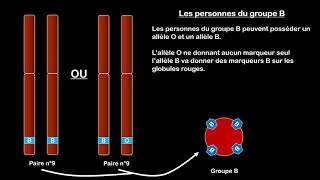 3ème  Gène Allèles et groupes sanguins [upl. by Berni]