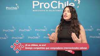 PROCHILE SOSTENIBILIDAD [upl. by Gui]