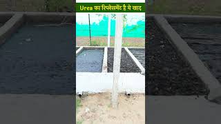 क्या Urea खाद का रिप्लेसमेंट है Vermicompost Organic Manure  Composting  AgriBusiness shorts [upl. by Marmawke]