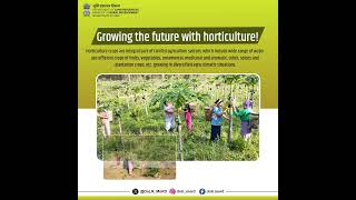 How WDCPMKSY 20 is Transforming Rural Horticulture for Farmers [upl. by Kumar84]