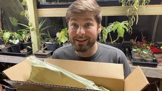 Wishlist Plant Unboxing 🪴 Plant Haul from the Green Escape [upl. by Gerta975]