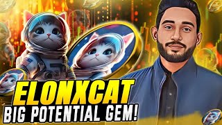 🚀 ELONXCAT NEXTGEN MEME COIN 🌠 MULTICHAIN NFT MARKETPLACE AND A GALACTICTHEMED ECOSYSTEM 🐾 [upl. by Garrik866]