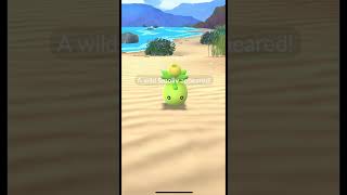 Who else loves going to the beach to catch pokemon [upl. by Accebber]