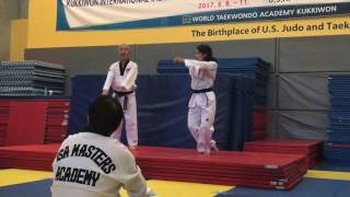 Pyongwon poomsae from the June 811 2017 Kukkiwon International Masters amp Examiners License Course [upl. by Rotman794]