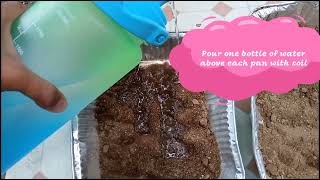 SCIENCE 5  EXPERIMENT  SOIL EROSION  WEEK 2 [upl. by Letsou]