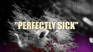 Hazen  Perfectly Sick Lyric Video [upl. by Adnohsor]