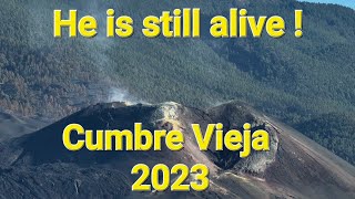 2023 Cumbre Vieja is still alive15 Years after volcanic eruption La Palma volcanoDrone footage 4K [upl. by Nylevol]