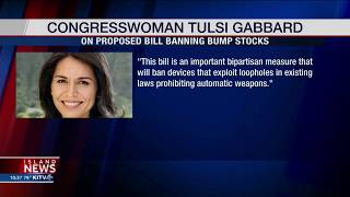 Tulsi Gabbard Calls for Gun Control Measures That Prohibit Bump Stocks [upl. by Gombach400]