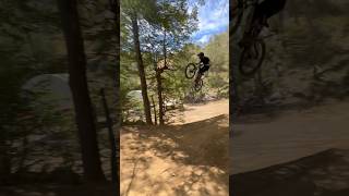 Bikepark Nevados De CHILLAN ⚡️⚡️ mtb downhill enduro bike [upl. by Oirromed]