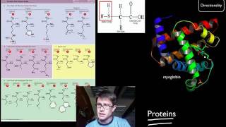 Biological Molecules [upl. by Nolyar]