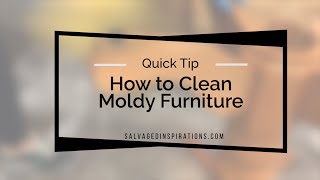 How to Clean Moldy Furniture [upl. by Tandie]