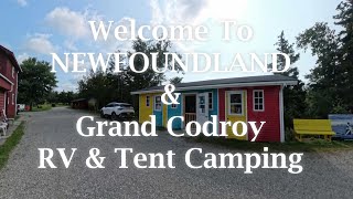 Experience Grand Codroy Camping In Newfoundlands Pristine Wilderness [upl. by Drye984]