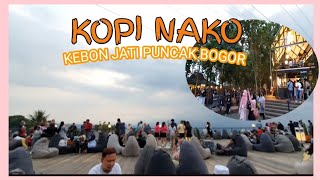 KOPI NAKO KEBON JATI PUNCAK BOGOR  Tempat Ngopi Nuansa Alam yang lagi Hits di puncak [upl. by Daugherty]