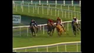 1982 King George VI Chase [upl. by Yrek708]