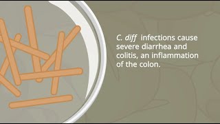 C Diff Infections  Pathophysiology and Nursing Interventions [upl. by Materse]