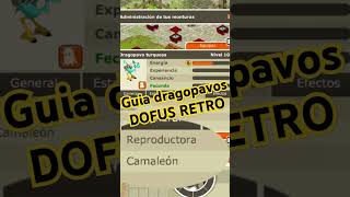 guiadofus guía dofusretro dofus [upl. by Jacy]