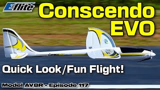 EFlite Conscendo Evolution 15m BNF Basic  Model AV8R Quick LookFun Flight [upl. by Veedis]