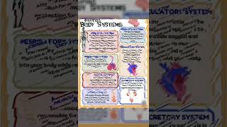 Human body system subscribe biology stetoscope like tranding neet anatomy bodyparts brain [upl. by Bum]