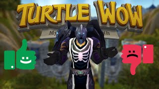 Turtle WoW  Server Review 2024  World of Warcraft [upl. by Oruntha]