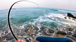 Fishing Australia for UltraLight Game From Shore [upl. by Xenia]