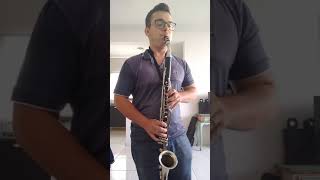 Clarone Alto Clarinet alto Vito USA  Hino 307 CCB [upl. by Tiena759]