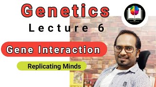 Genetics Lecture 6  Compliment amp Duplicate Gene Interaction  Epistasis  Sanjay Kumar [upl. by Wu517]