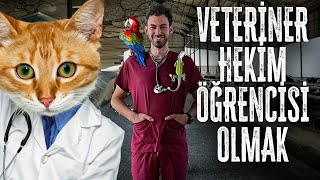 VETERİNER FAKÜLTESİNDE BİR GÜN GEÇİRMEK [upl. by Riccardo]