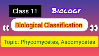 Class 11  Biological Classification TopicPhycomycetes Ascomycetes ncert [upl. by Peppi365]