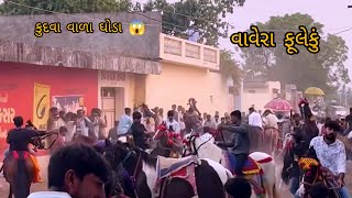 Vavera fuleku 🔥 kudva vala ghoda 😱 kathiyawadi horse horse horsepower fuleku [upl. by Nawor]