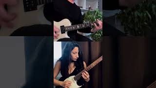 Plini  Selenium Forest dual guitar cover [upl. by Oletta789]