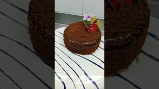 Two Tier Cracked Chocolate Mirror Glaze cake song music cover lyrics sugarpie sweetish sweett [upl. by Bannasch]