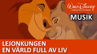 Lejonkungen En värld full av liv  Disneyklassiker Sverige [upl. by Garlen823]