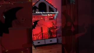 HAUNTED HOUSE FOR MY CAT viral [upl. by Riccio]