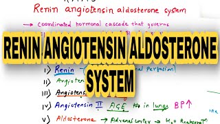 Renin Angiotensin Aldosterone System  RAAS  Explained in hindi [upl. by Melantha]