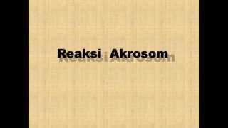 Reaksi Akrosom by Klinik Andrologi dr Anton Darsono Wongso SpAnd [upl. by Stockmon926]