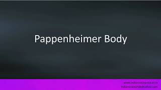 Pronunciation of the words quotPappenheimer Bodyquot [upl. by Retsub939]