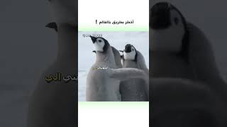 بطريق معصب مدبلج كوميدي 😂  دبلجةمضحكة ضحك اكسبلور السعودية mykingo كوميديا دوبلاج funny [upl. by Enrica]